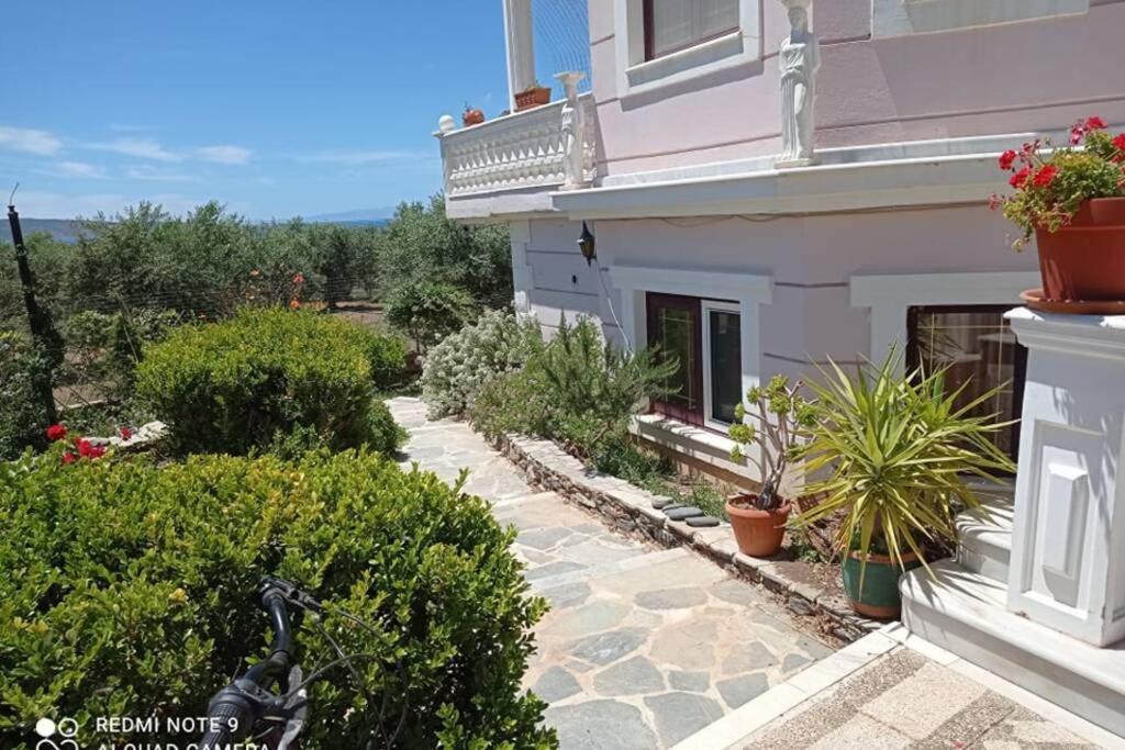 Villa Afroditi - Cozy Appartment Close To The Sea Neápolis Buitenkant foto